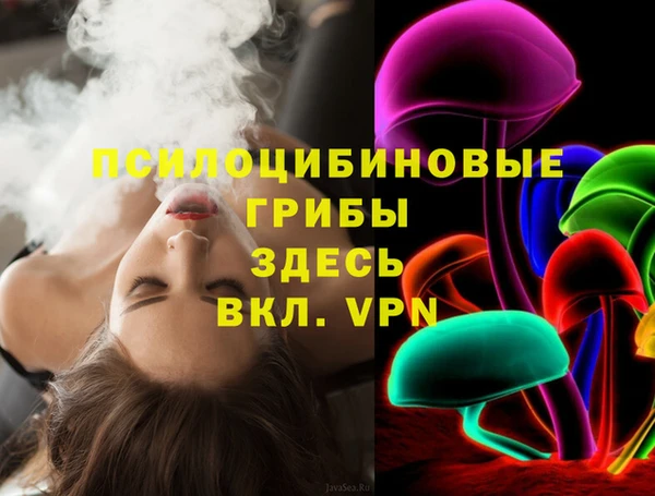 дмт Алексин