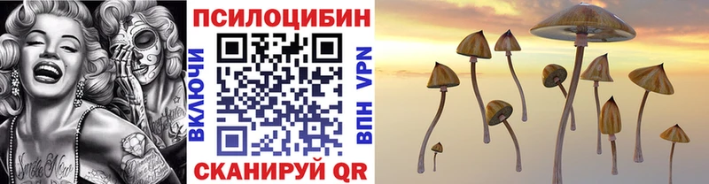 Псилоцибиновые грибы Psilocybine cubensis  Донской 